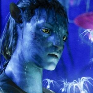 Meet your Posher, Ty